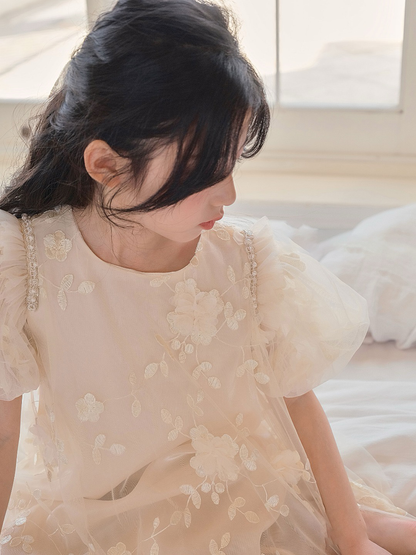 Petal Whisper Ivory Embroidered Tulle Dress